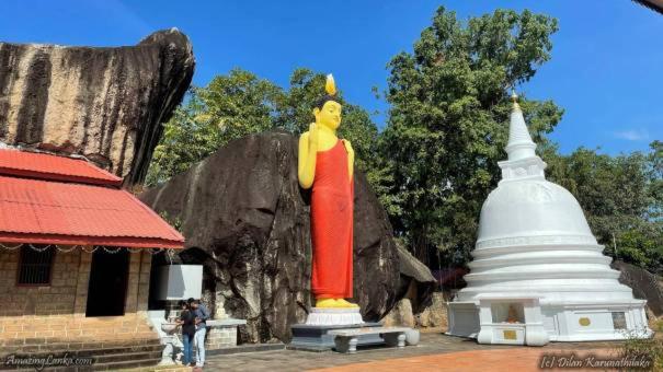 بنسيون Rest Point