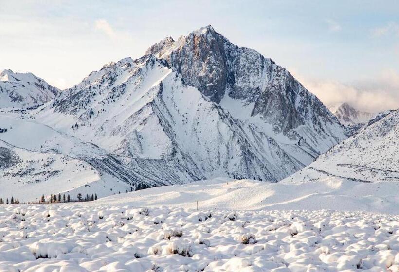 445   Pet Friendly Condo Private Balcony Stunning Views