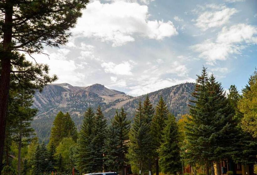 445   Pet Friendly Condo Private Balcony Stunning Views