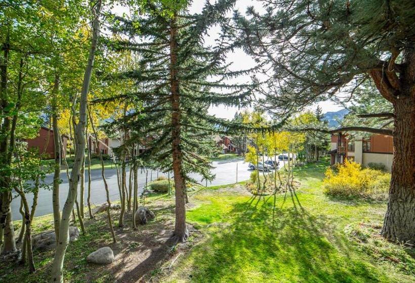 445   Pet Friendly Condo Private Balcony Stunning Views