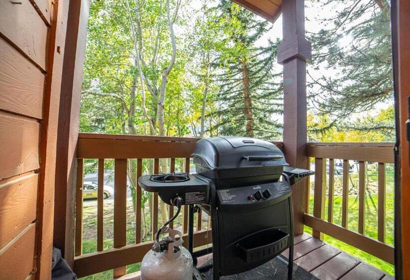 445   Pet Friendly Condo Private Balcony Stunning Views