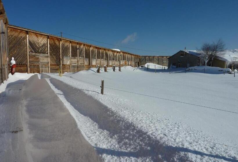 Gîte Equisud Demi Pension Inclus