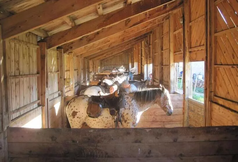 Gîte Equisud   Demi Pension Inclus