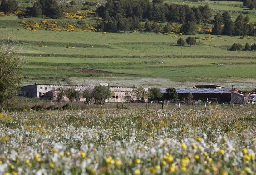 Gîte Equisud Demi Pension Inclus