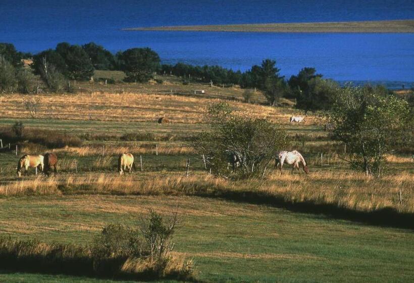 Gîte Equisud Demi Pension Inclus