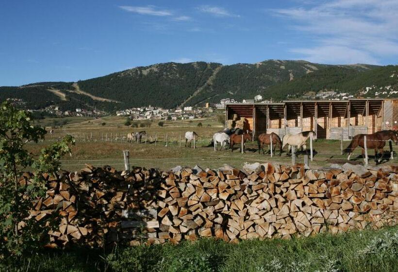 Gîte Equisud Demi Pension Inclus