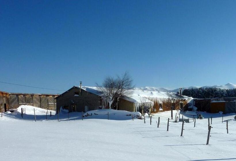 Gîte Equisud Demi Pension Inclus