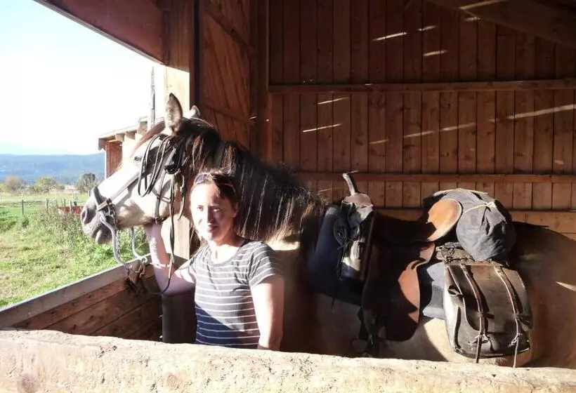 Gîte Equisud   Demi Pension Inclus