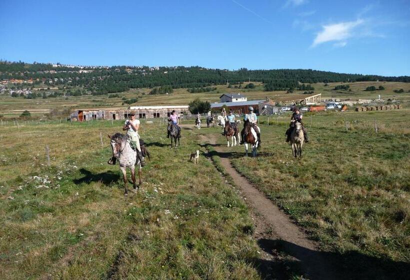 Gîte Equisud Demi Pension Inclus