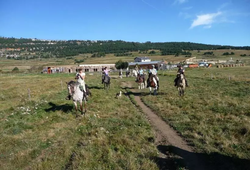 Gîte Equisud   Demi Pension Inclus