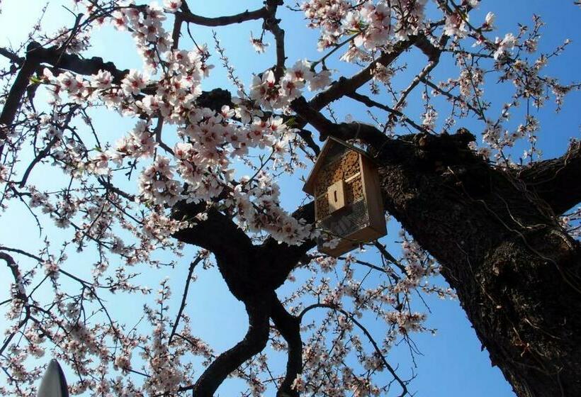 בית מלון כפרי B&b Casa Sartori