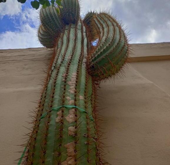 Отель Del Sol Cafayate