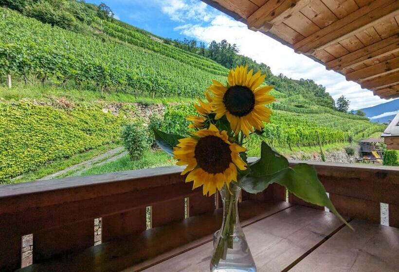 Отель Hofer Hof