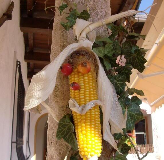 Отель Hofer Hof