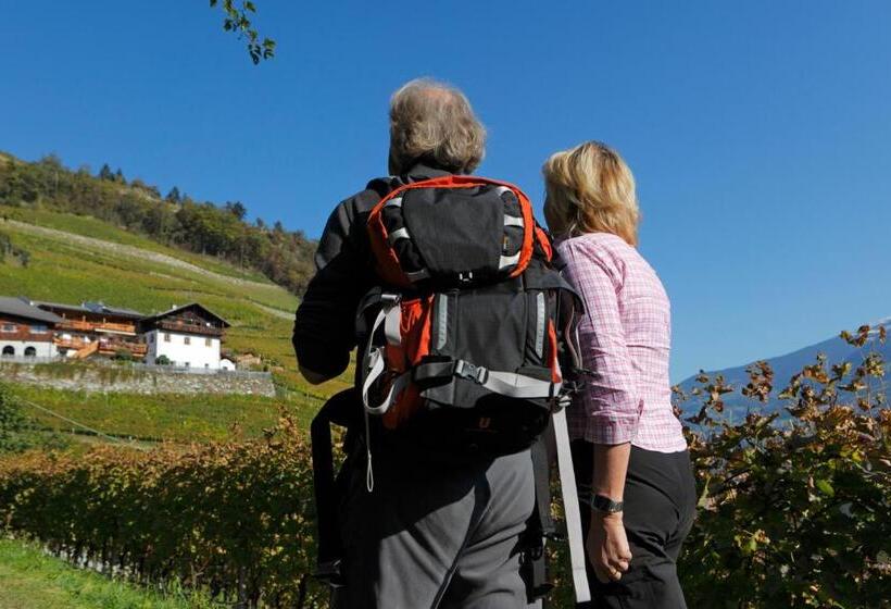 Отель Hofer Hof