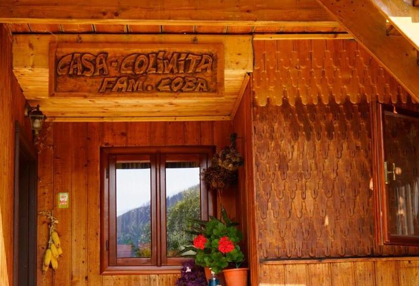 هتل Pensiunea Agroturistica Casa Coliniţa