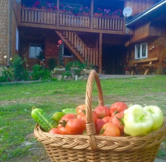 هتل Pensiunea Agroturistica Casa Coliniţa