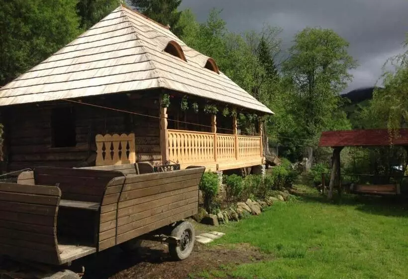 ホテル Pensiunea Agroturistica Casa Coliniţa