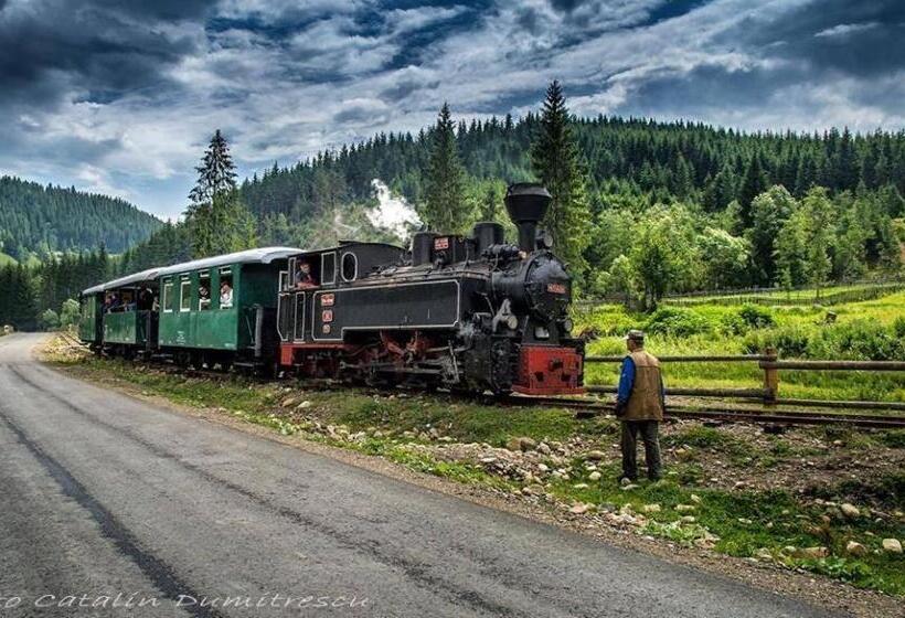 هتل Pensiunea Agroturistica Casa Coliniţa