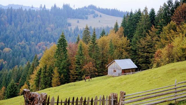 هتل Pensiunea Agroturistica Casa Coliniţa