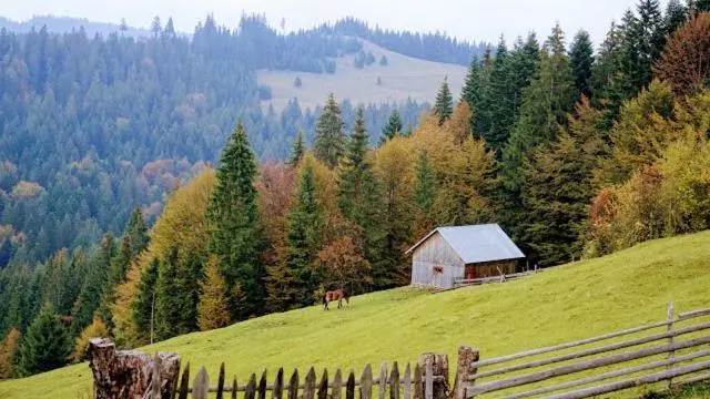 ホテル Pensiunea Agroturistica Casa Coliniţa