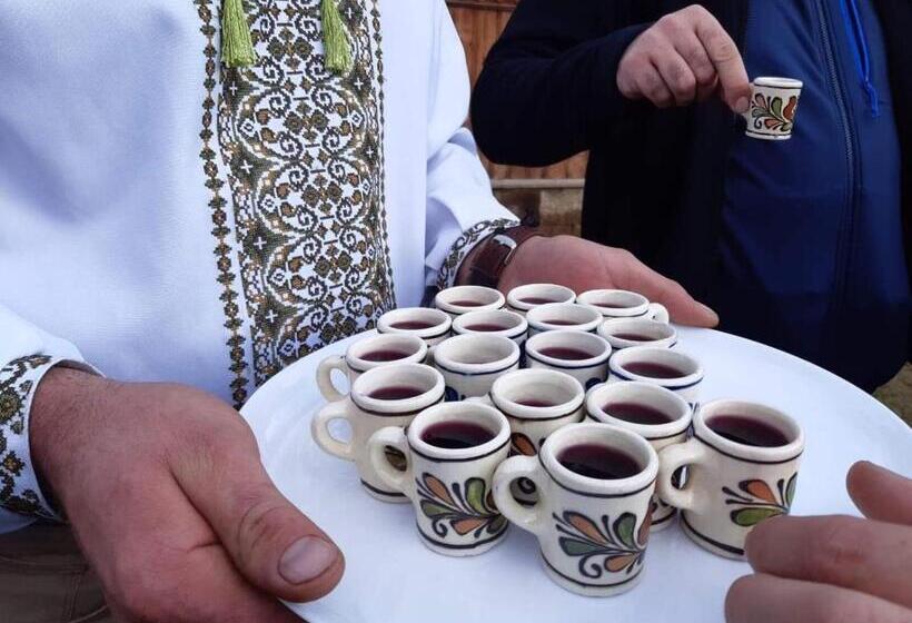 هتل Pensiunea Agroturistica Casa Coliniţa