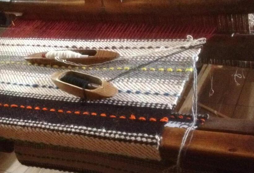 هتل Pensiunea Agroturistica Casa Coliniţa