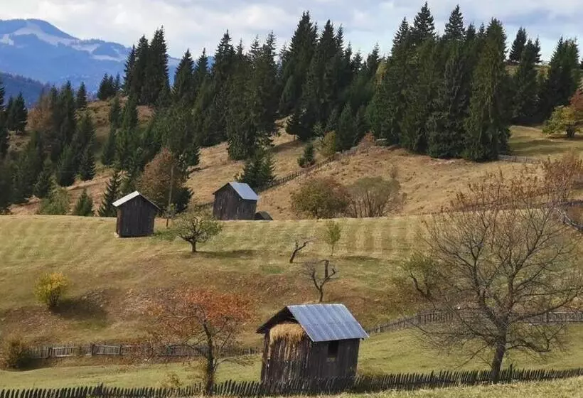 ホテル Pensiunea Agroturistica Casa Coliniţa