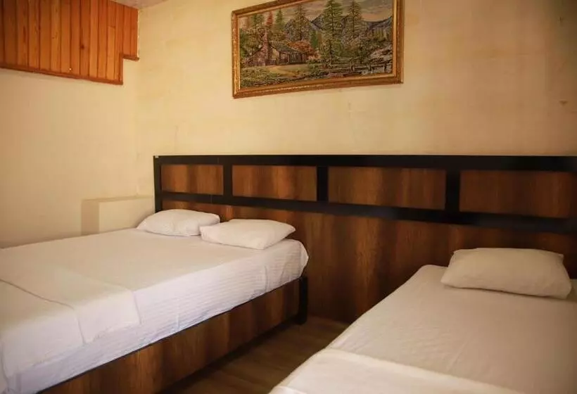 پانسیون Aslan Guest House