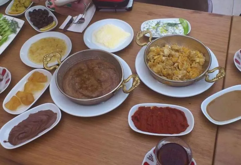 پانسیون Aslan Guest House