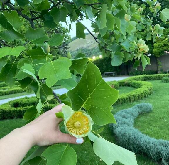 ペンション Guesthouse Mikuláš Mikulov   Free Parking In The City Center