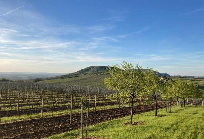 ペンション Guesthouse Mikuláš Mikulov   Free Parking In The City Center