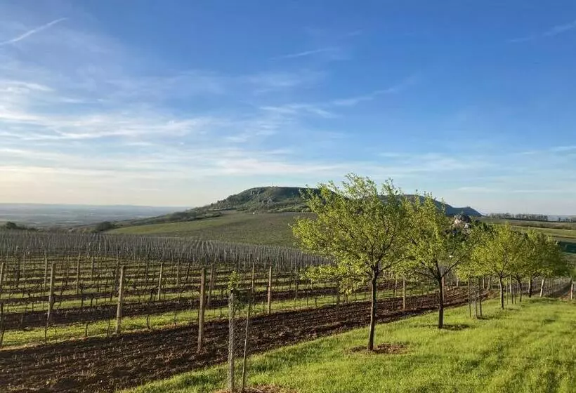 Majatalo Guesthouse Mikuláš Mikulov   Free Parking In The City Center