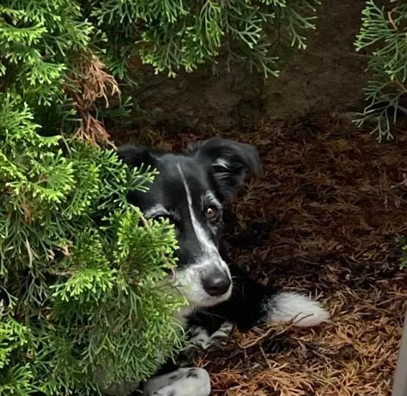 Majatalo Guesthouse Mikuláš Mikulov   Free Parking In The City Center