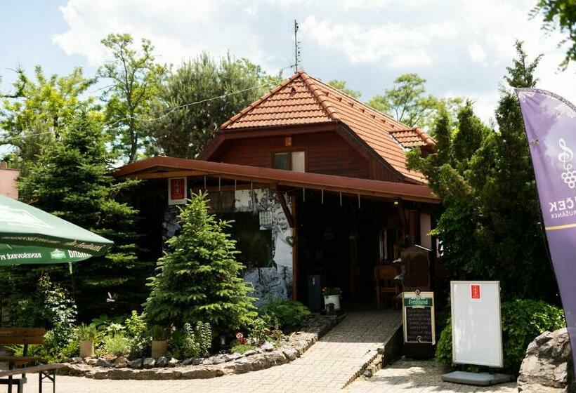 膳宿费 Penzion Nechorka