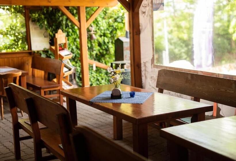 膳宿费 Penzion Nechorka