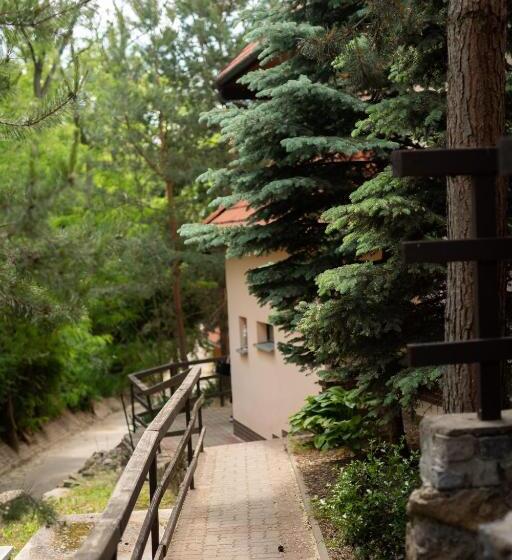 膳宿费 Penzion Nechorka