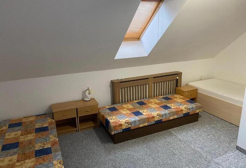 بنسيون Penzion U Horejšů, Zadov Churáňov