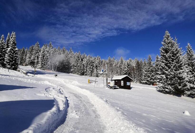 بنسيون Penzion U Horejšů, Zadov Churáňov