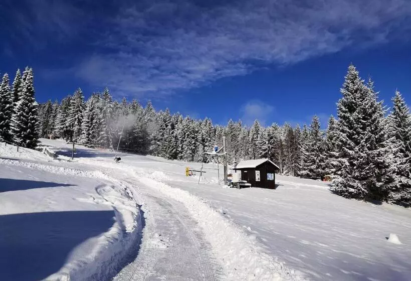 Majatalo Penzion U Horejšů, Zadov   Churáňov