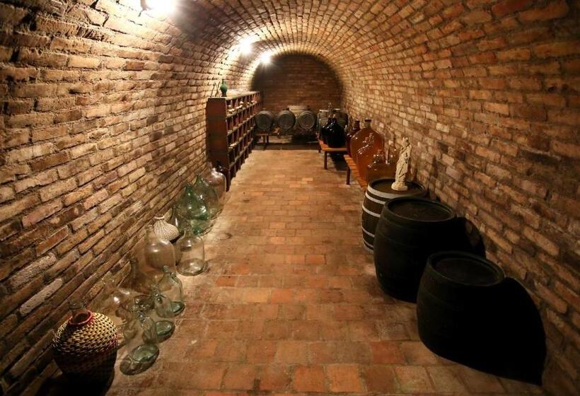 펜션 Penzion U Vinice