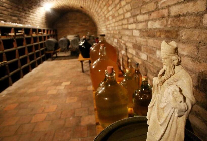 펜션 Penzion U Vinice