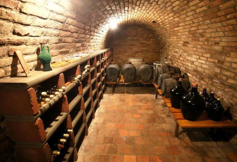 펜션 Penzion U Vinice