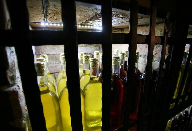 펜션 Penzion U Vinice