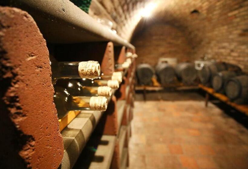 펜션 Penzion U Vinice