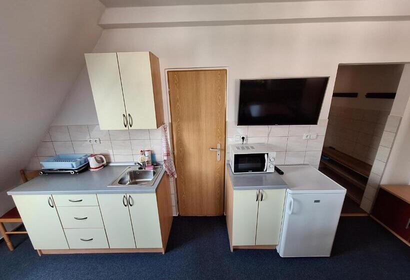 Pensjonat Penzion U Vorlíčků