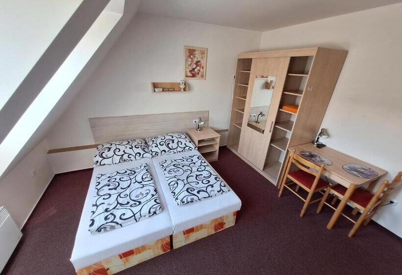 Pensjonat Penzion U Vorlíčků