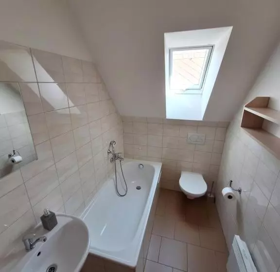 Majatalo Penzion U Vorlíčků