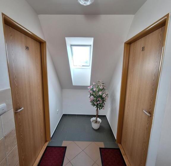 Pensjonat Penzion U Vorlíčků