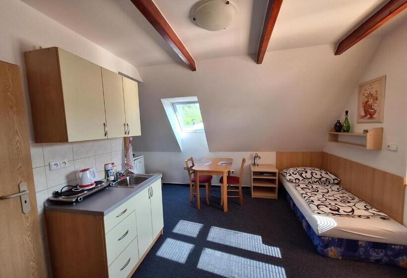 Pensjonat Penzion U Vorlíčků